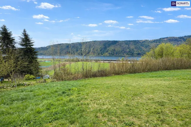 Katzensprung von Ybbs/D. – Mehr Grundstück für wenig Geld! Seltenes Baugrundstück mit genialem Donau-Blick in ruhiger Lage: 2.168 m² für großzügiges Eigenheim, Mehrgenerationenwohnen oder Wohnen & Arbeiten auf einem Grundstück! - Bild