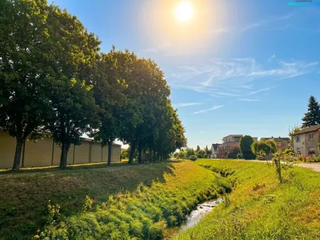 Bach