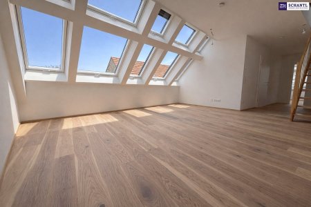 *Frühjahrsaktion* Penthouse-Feeling im Neubau: Lichtdurchflutete 4-Zimmer-Maisonette mit außergewöhnlich großer Dachterrasse!