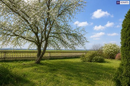 Modernes Wohnen in Massivbauweise – Einfamilienhäuser mit durchdachtem Raumkonzept in Wien-Nähe in Deutsch Wagram – freier Blick ins Grüne + unverbautes Gegenüber!