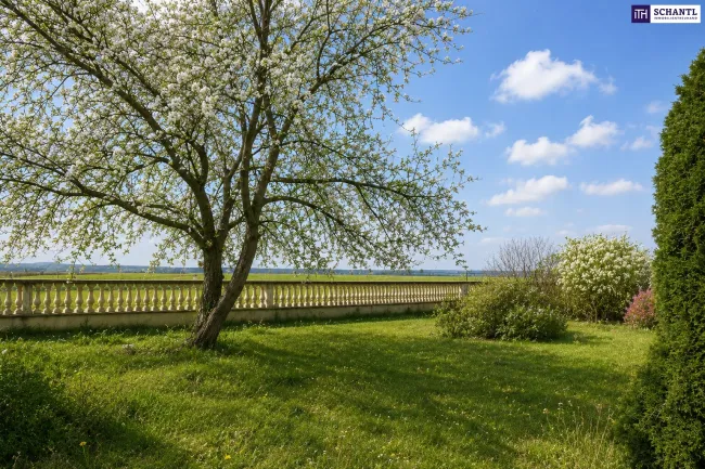 Modernes Wohnen in Massivbauweise – Einfamilienhäuser mit durchdachtem Raumkonzept in Wien-Nähe in Deutsch Wagram – freier Blick ins Grüne + unverbautes Gegenüber! - Bild