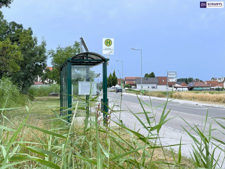 IHRE CHANCE: Betriebsgrundstück I TOP-Lage I Ideal geschnitten I Ortseinfahrt Mitterndorf/Fischa