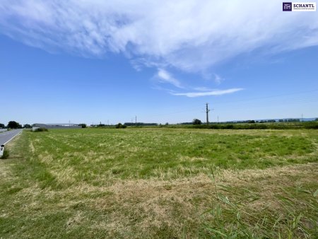 IHRE CHANCE: Betriebsgrundstück I TOP-Lage I Ideal geschnitten I Ortseinfahrt Mitterndorf/Fischa