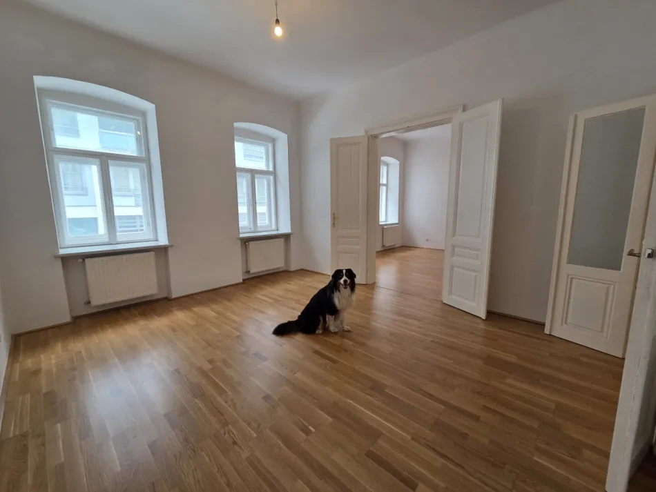 3er WG geeignet RUHIGE HÜBSCHE 3 ZIMMER WOHNUNG - NÄHE U3 - Bild