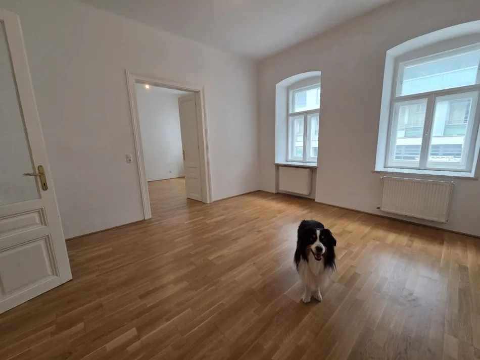 3er WG geeignet RUHIGE HÜBSCHE 3 ZIMMER WOHNUNG - NÄHE U3 - Titelbild
