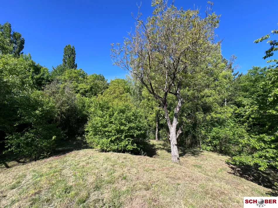 2.061 m² am Waldrand – Grundstück mit vielseitigen Möglichkeiten in Enzesfeld - Bild