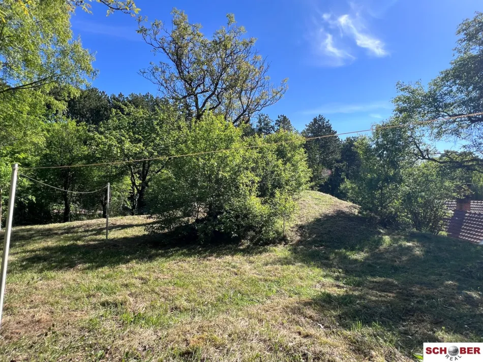 2.061 m² am Waldrand – Grundstück mit vielseitigen Möglichkeiten in Enzesfeld - Titelbild