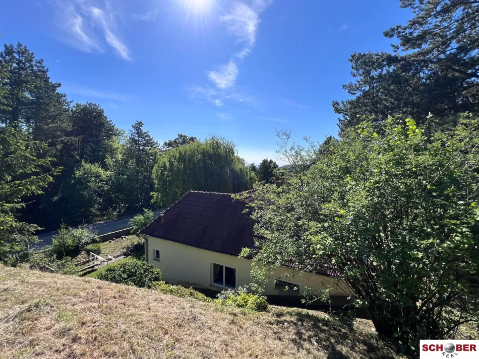 Großes Grundstück mit Haus in außergewöhnlicher Waldrandlage - Titelbild