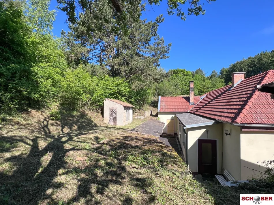 Großes Grundstück mit Haus in außergewöhnlicher Waldrandlage - Bild