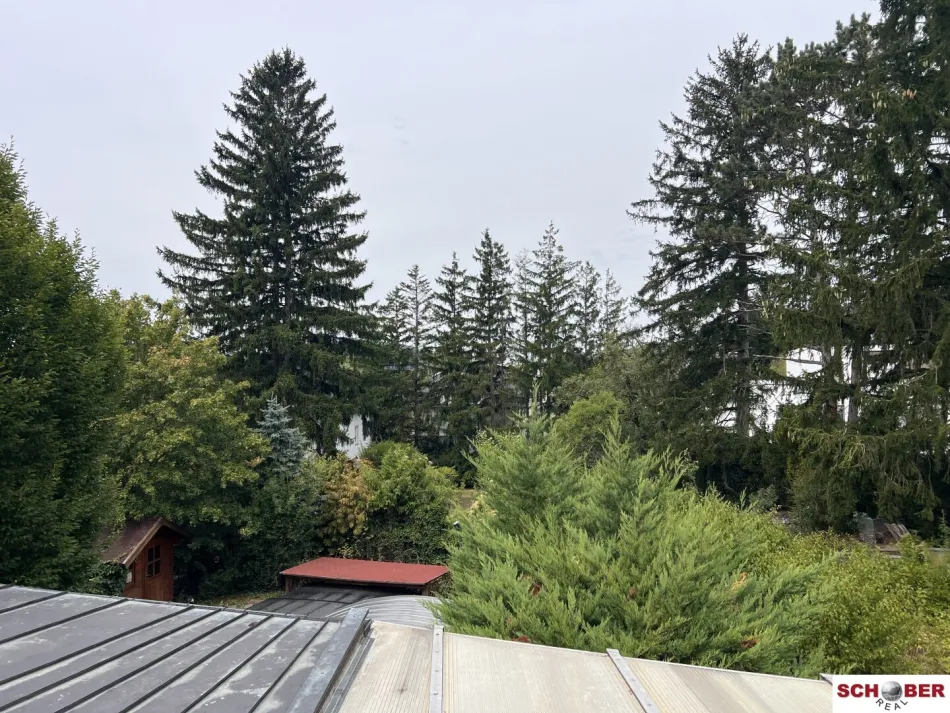 Seltene Gelegenheit am Wolfersberg - 1054 m2 Grund mit Abbruchobjekt - Titelbild