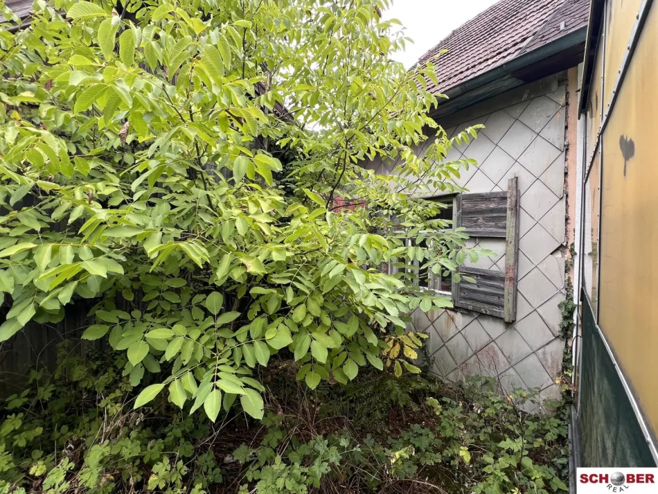 Seltene Gelegenheit am Wolfersberg - 1054 m2 Grund mit Abbruchobjekt - Bild