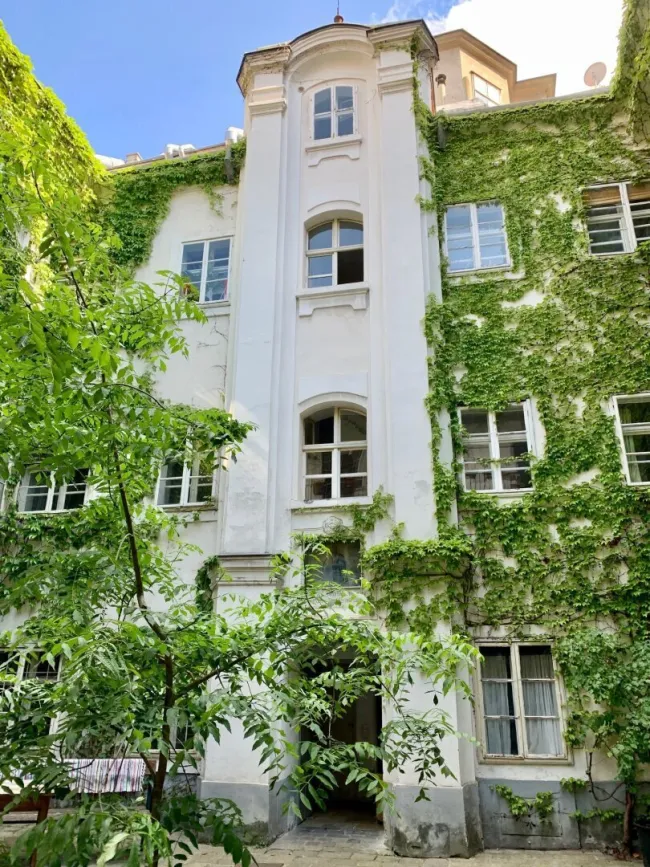 Zentrumsnah und unbefristet, Charmante Kleinwohnung, 50m2 in historischem Althaus! Sofortbezug! - Titelbild