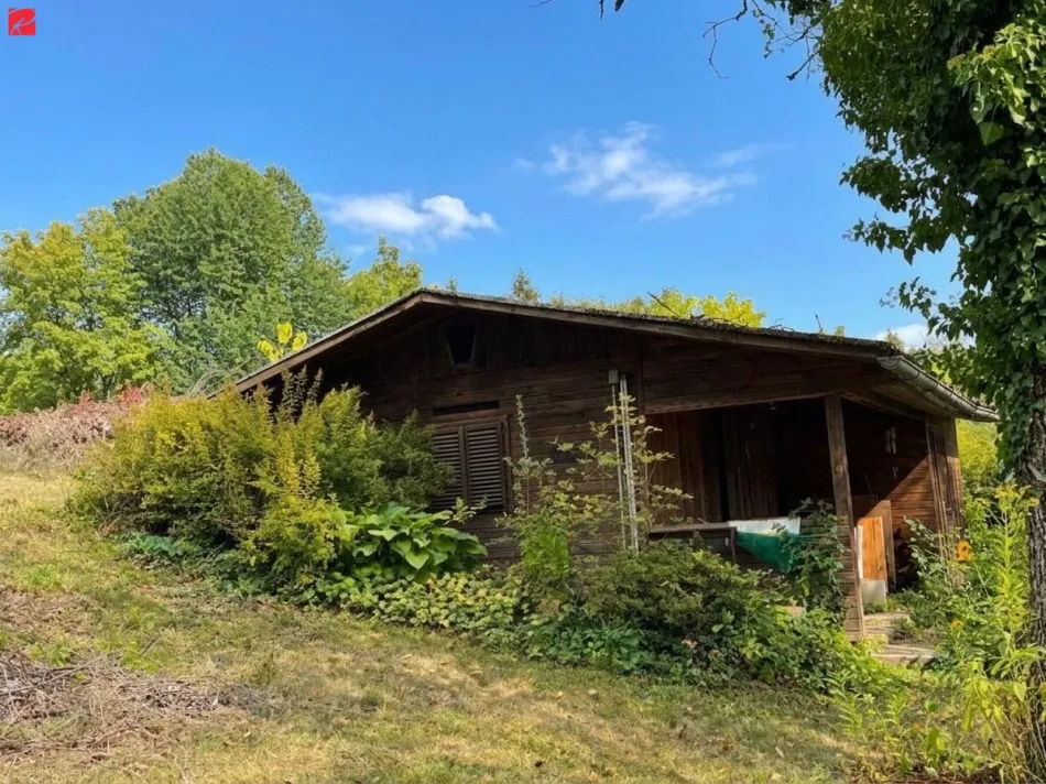 Naturidylle in absoluter Ruhelage - Bild