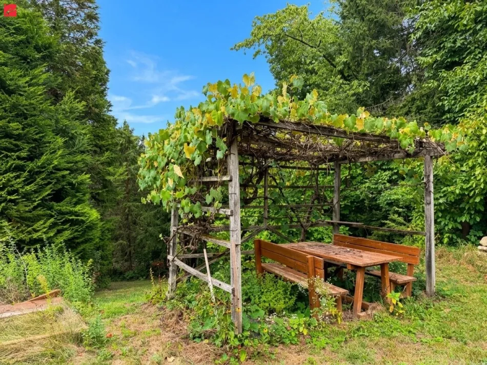 Naturidylle in absoluter Ruhelage - Bild