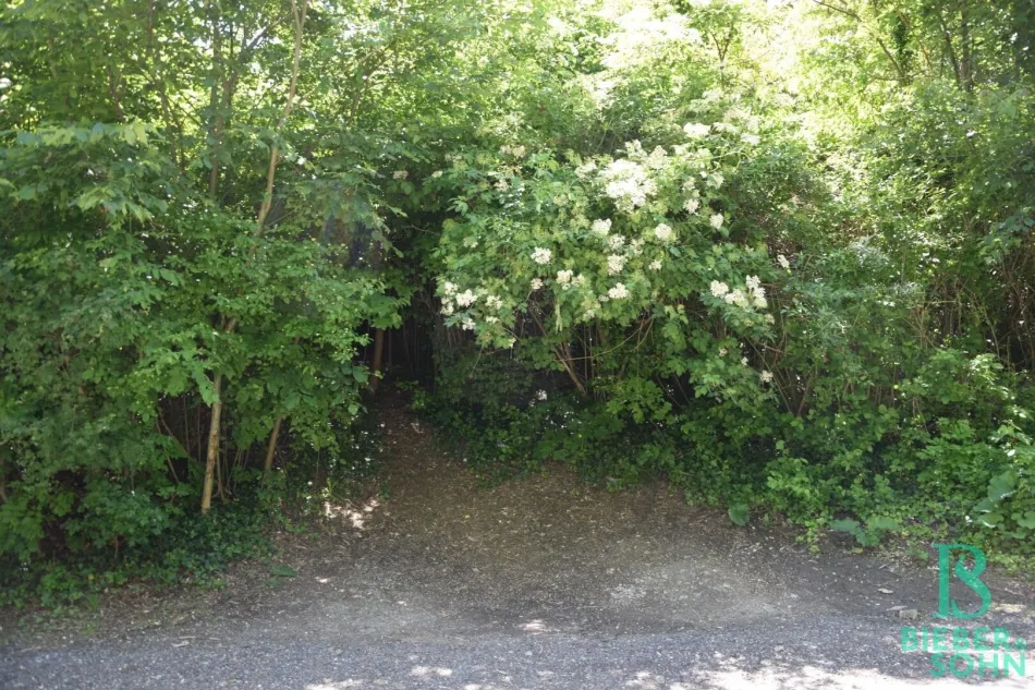 Strassenansicht