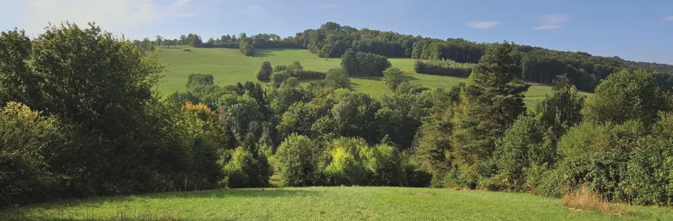 Hausansicht - Einheiten 1 bis 4