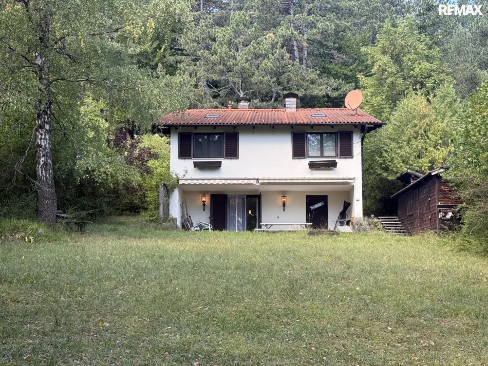 Natur pur! Gemütliches Einfamilienhaus in Feichtenbach mit Garten, Terrasse und Kamin! - Bild