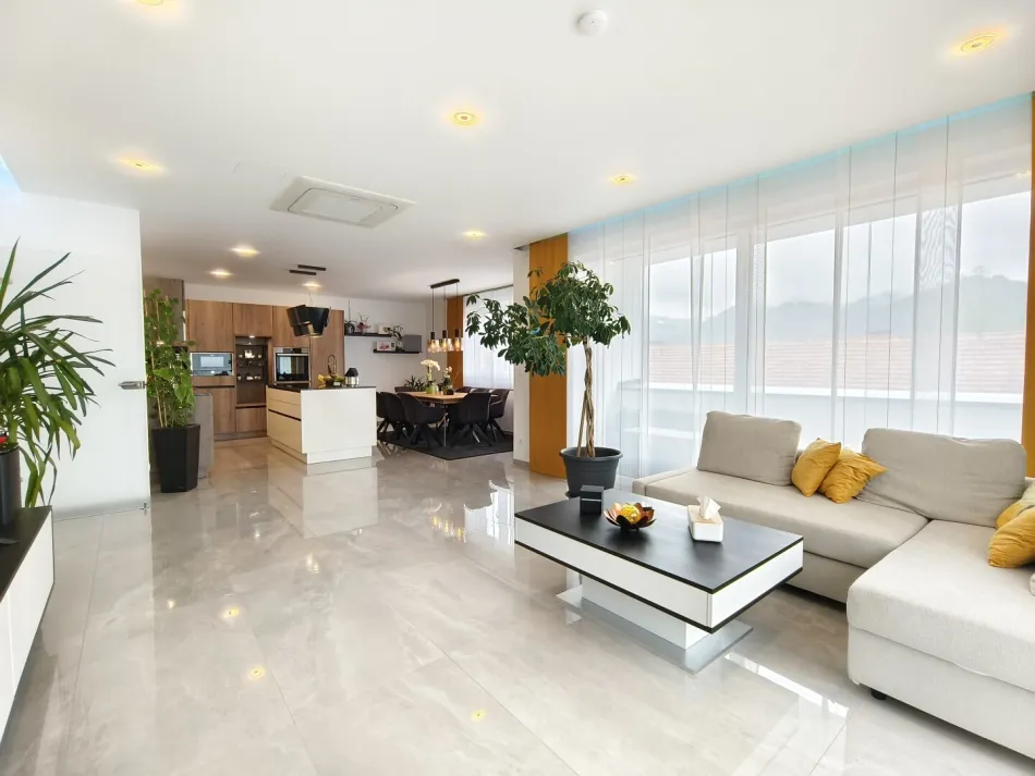 Exklusives Penthouse mit 56 m² Süd-West-Terrasse, Klimaanlage und Tiefgarage - Titelbild