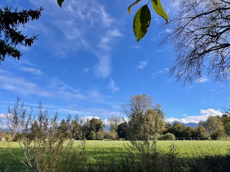 Traumhafter Bauplatz mit Bachidylle und Ried-Nähe in Lustenau - Bild