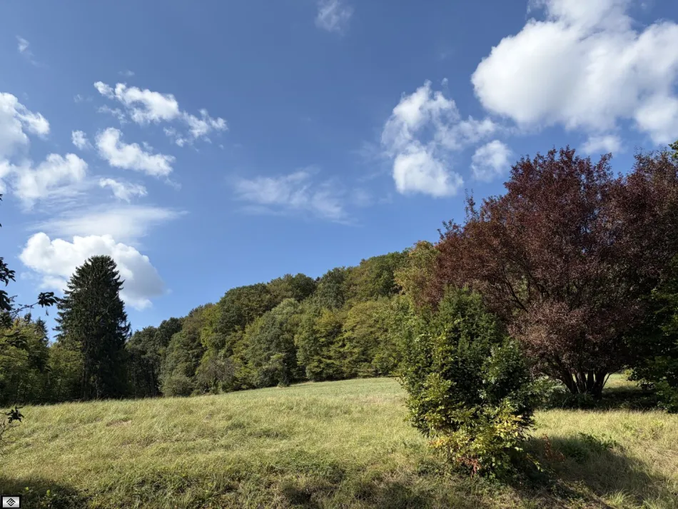 110m2 Mietwohnung im Wienerwald - Titelbild