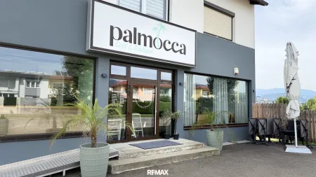 Palmocca