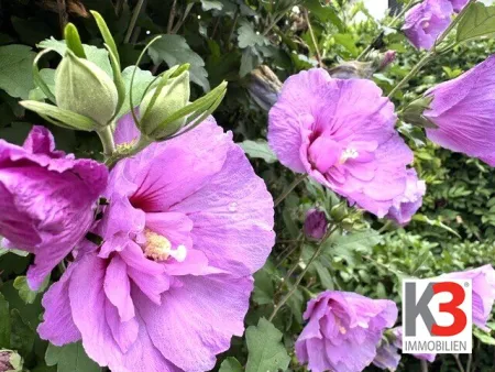 K3 - Schönes Ein- bzw. Zweifamilienhaus mit sonnigem, traumhaftem Garten! Exklusive Ruhelage mit herrlichem Berg- und Grünblick! - Titelbild