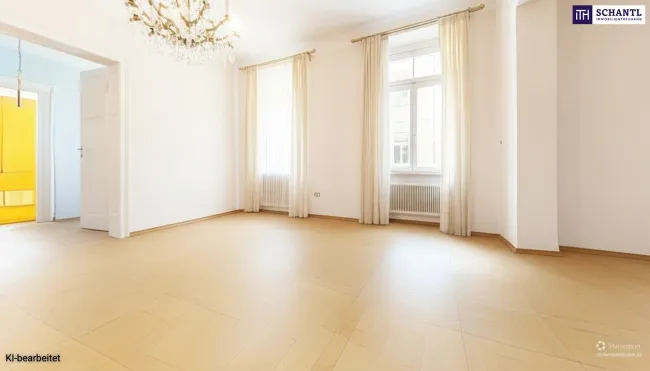 Zimmer IV