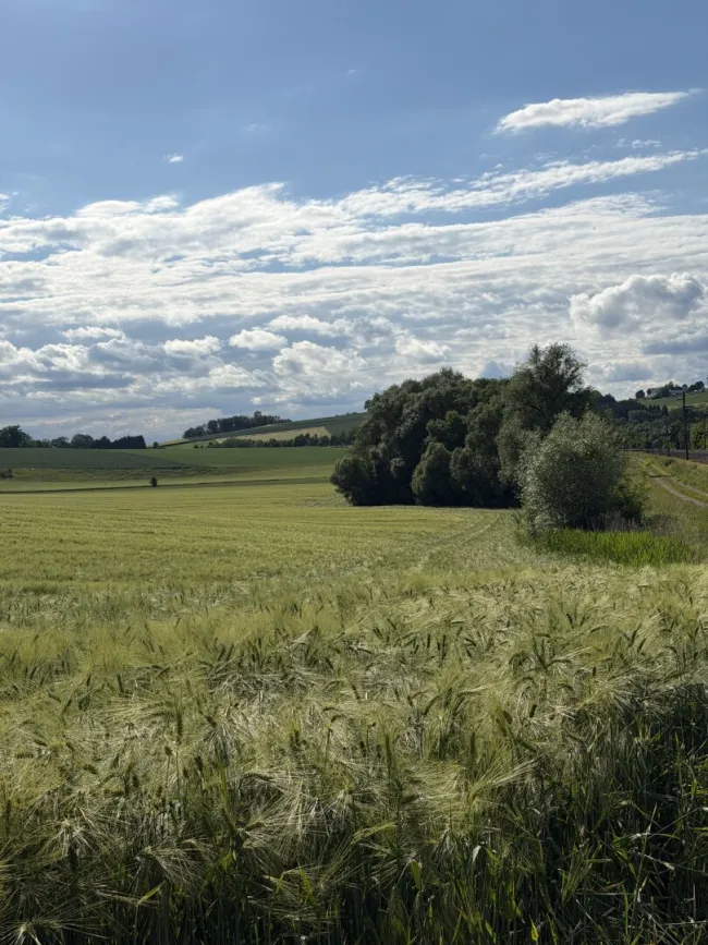 Ansicht Ackerfläche