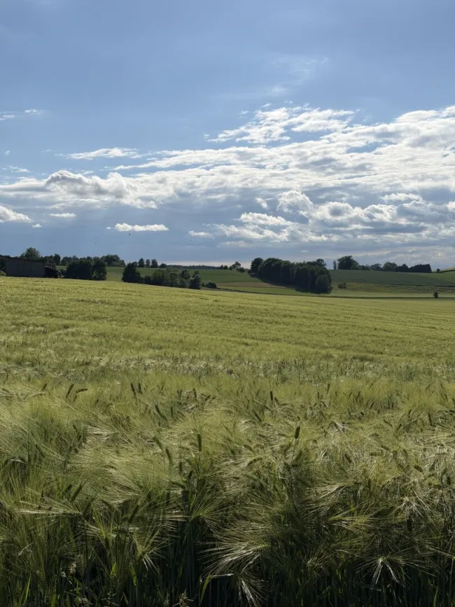 Ansicht Ackerfläche
