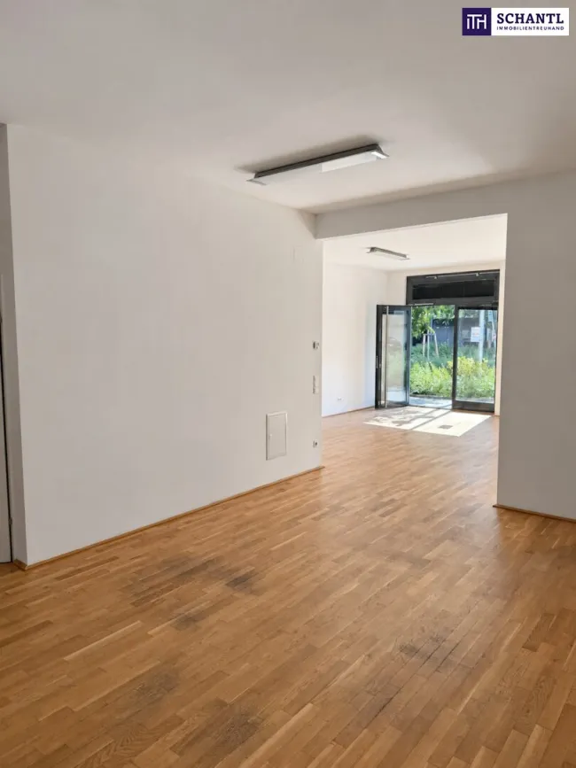 Businessfläche mit optimaler Sichtbarkeit – Wagramer Straße ab sofort! Nähe Kagraner Platz/Kagran - Bild