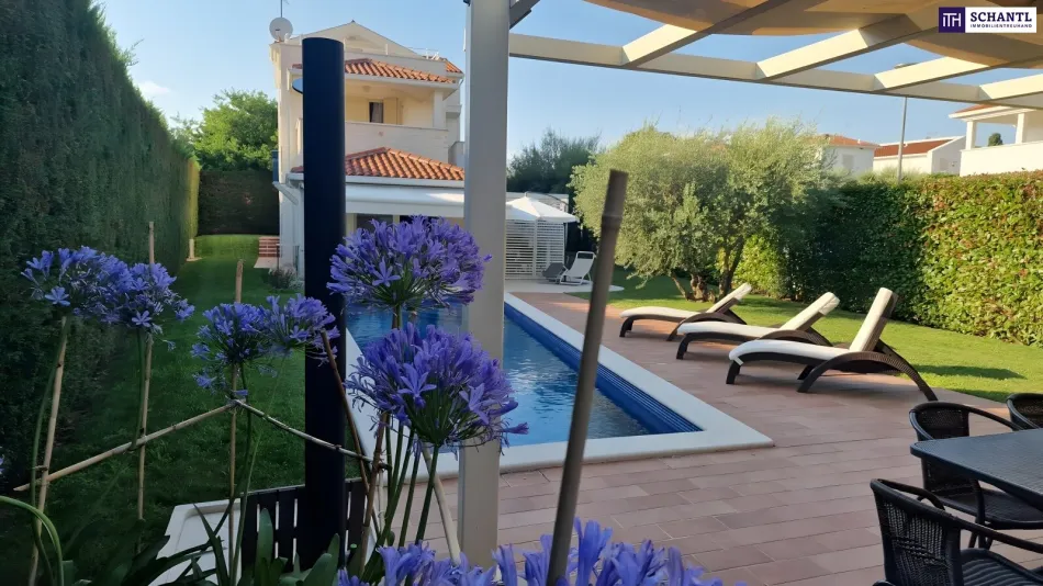 Landhaus mit Pool und Olivengarten in Meeresnähe Istrien / Kroatien - Bild