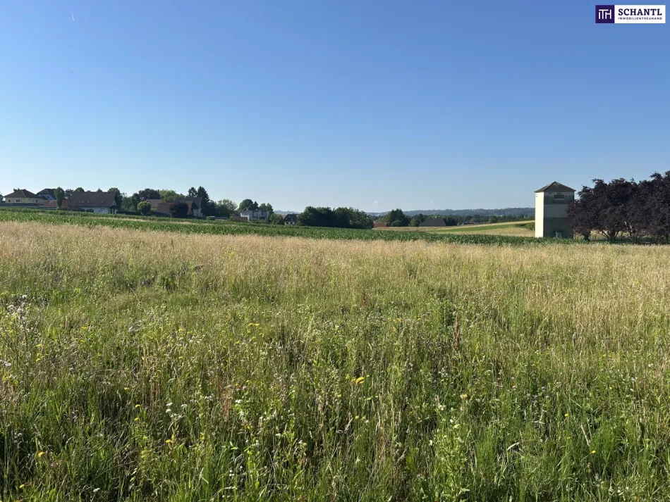Baugrundstück Einreichplan & Traumaussicht bis Kärnten - in 8501 Lieboch! - Titelbild