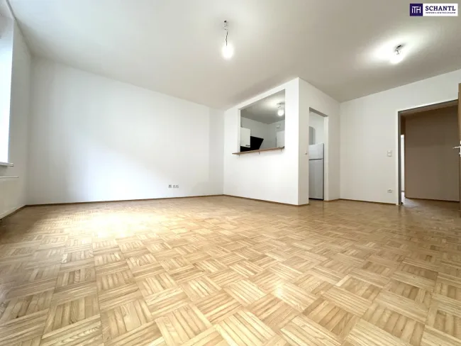 Achtung, Preisreduktion! Erstbezug nach Sanierung: Moderne Stadtwohnung in zentraler Lage in Graz: 88 m² - 4 Zimmer - große Wohnküche - Garten - praktischer Grundriss! Gleich anfragen und Besichtigungstermin vereinbaren! PROVISIONSFREI! - Bild