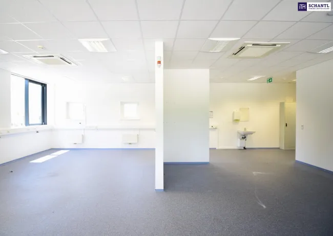 Ihr neuer Firmenstandort: Moderne Gewerbeimmobilie in Laßnitzhöhe - Büro- und Geschäftsräumlichkeiten auf 136 m² mit erstklassiger Ausstattung, KFZ-Abstellplätzen, E-Ladestationen & Klimaanlage! Vereinbaren Sie gleich einen Termin! - Bild