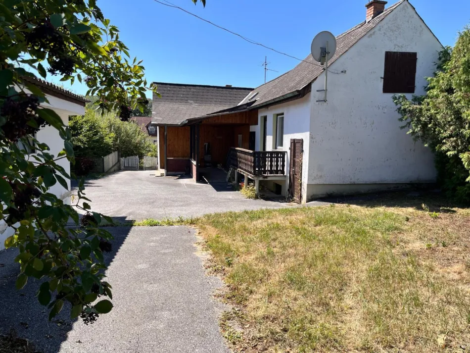 EINFAMILIENHAUS IN RUHELAGE - Titelbild