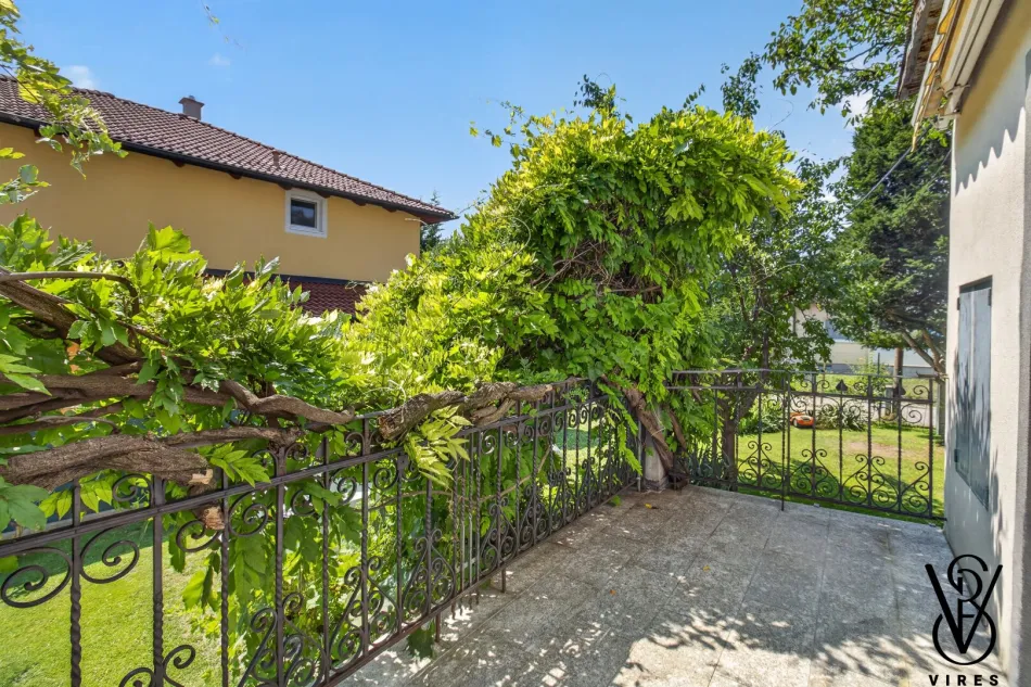 Luftbild: Haus mit Glyzinie, Dachterrasse und Garten