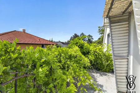 Dachgeschoss: Dachterrasse mit Glyzinie