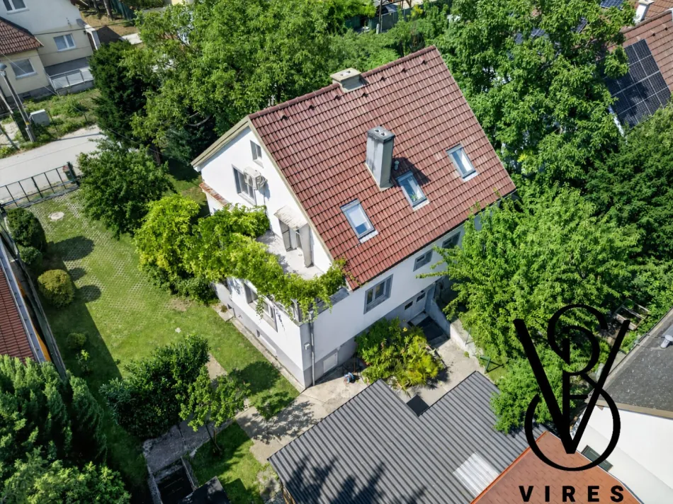 Luftbild: Haus mit Glyzinie, Dachterrasse und Garten