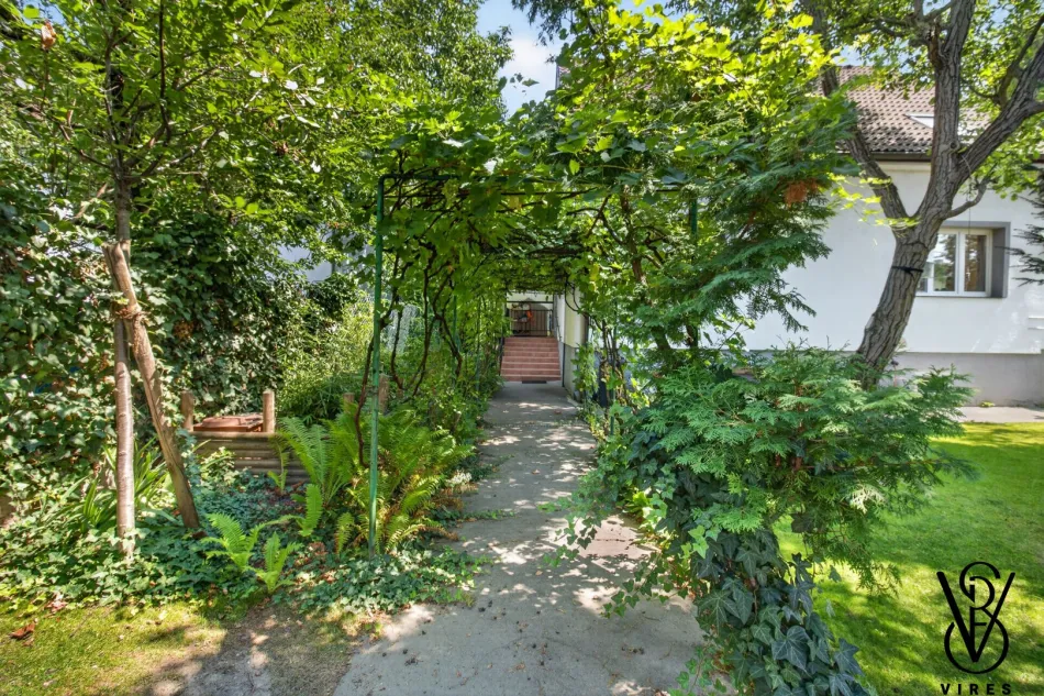 Luftbild: Haus mit Glyzinie, Dachterrasse und Garten