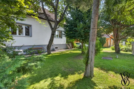 Garten mit altem Baumbestand