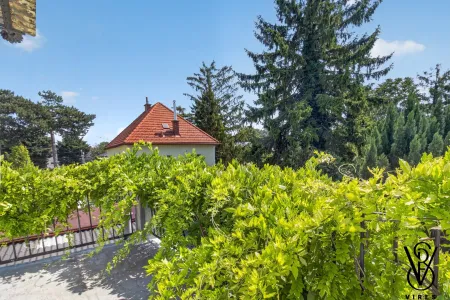 Dachgeschoss: Blick von der Dachterrasse ins Grüne