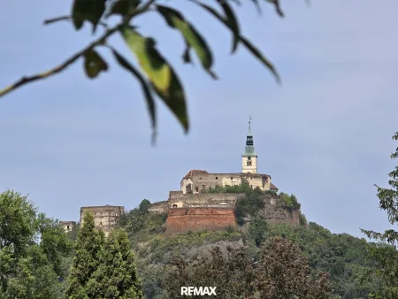 Blick zur Burg Güssing