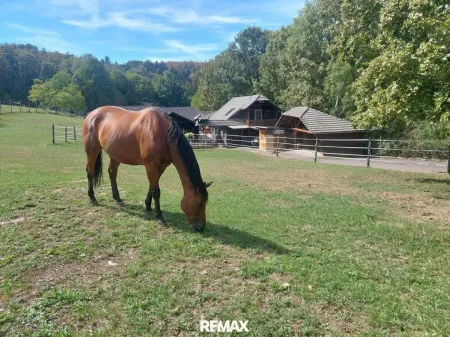 Mein Pferdehof