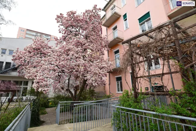 Preisreduktion! Urbanes Refugium im Herzen von Graz - Ideal für Airbnb, Booking.com & Hotelbetrieb | 15 Zimmer | Frühstücksraum | Grüner Innenhof | Tiefgarage - Bild