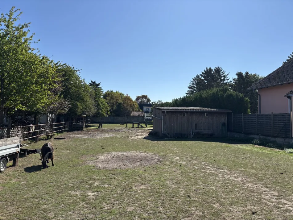 Ruhelage im Grünen – Grundstück im Zentrum von Seyring für dein Traumhaus - Bild