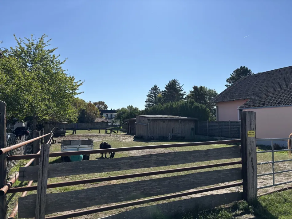 Ruhelage im Grünen – Grundstück im Zentrum von Seyring für dein Traumhaus - Bild