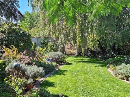 Blick in den Garten