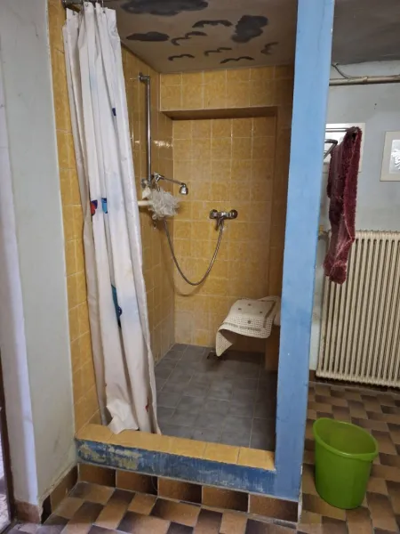 Die Dusche neben der Sauna im Keller