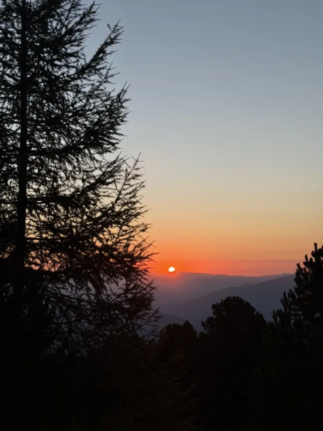 300 ha Gamsjagd in der Obersteiermark - Titelbild