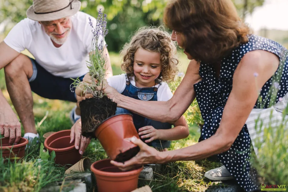 Kleingarten zur Pacht. - Neue Gartenanlage in Planung: Jetzt vormerken lassen! - Bild